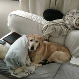 Meet your Posher, Rick